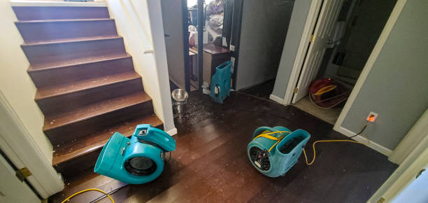 Best Commercial water damage restoration  in Livonia, MI