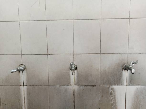 Best Water damage repair service  in Livonia, MI