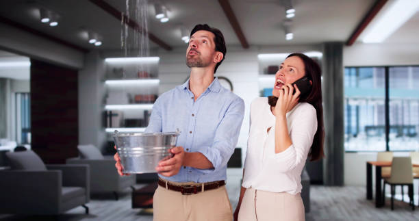 Best Water damage contractors near me  in Livonia, MI