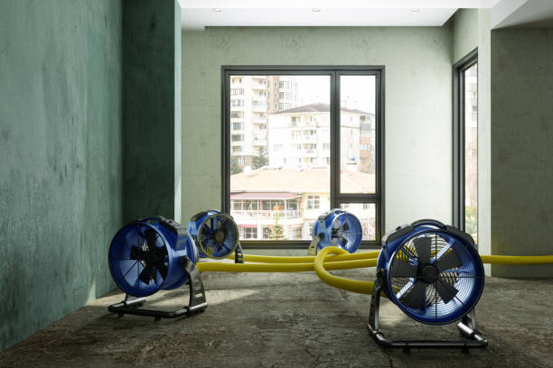 Professional Water damage restoration in Livonia, MI